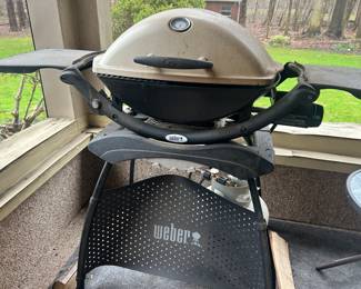 Weber Grill
