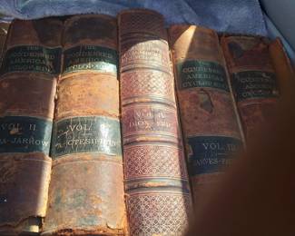 Many antique leather books