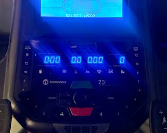 Horizon treadmill