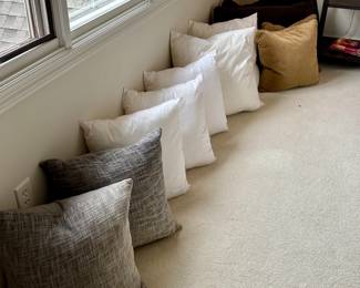 Decorative pillows and down inserts