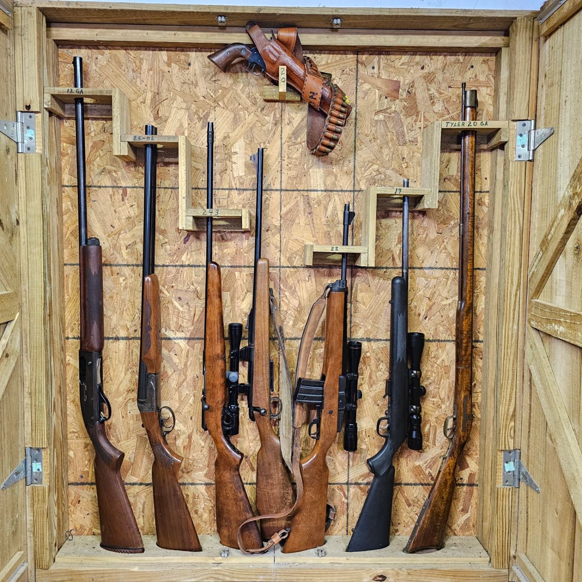 Firearms