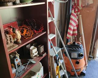 shelving and ladder 