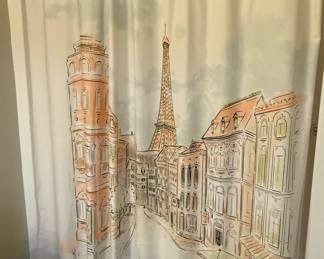 Parisian scene shower curtain
