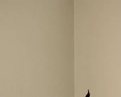 Whimsical Mobile by Jayasinhji Jhala