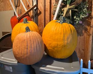 huge faux pumpkins