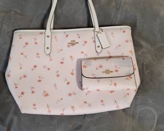 Coach Purse & Wallet