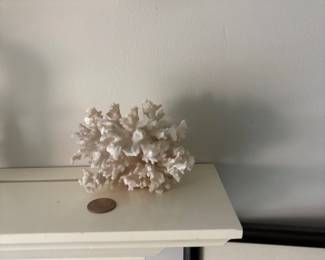 white coral