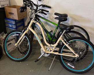 Electra Townie Bicycle - Trek 800 Bicycle
