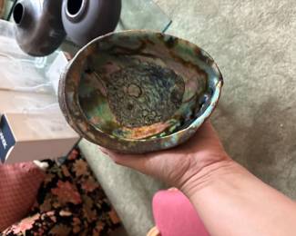 Paua Abalone Shell