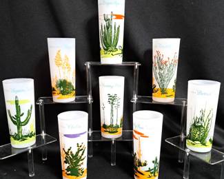 BLAKLEYS ARIZONA GLASSES CATCUS