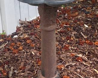 Bird Bath
