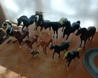 Several Briar horses