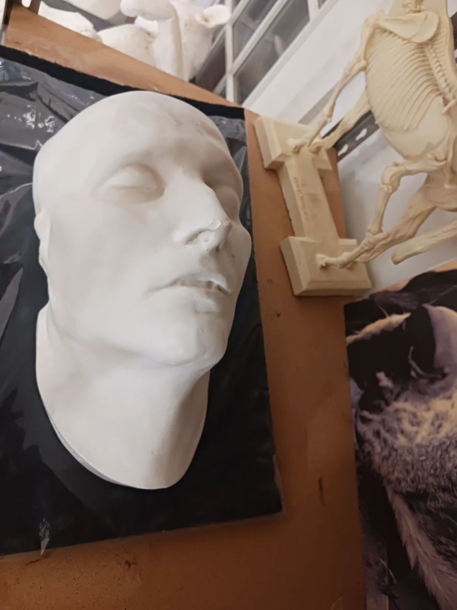 Death mask of Napoleon