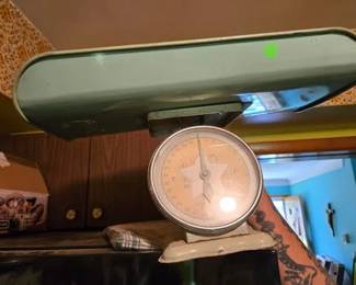 BABY SCALE PIC2 KITCHEN