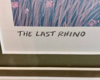 The Last Rhino