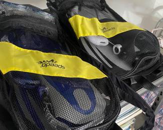 Snorkeling gear