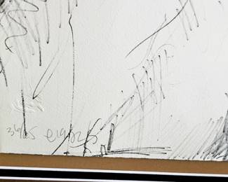 Numbered and Watermarked Pena Art.