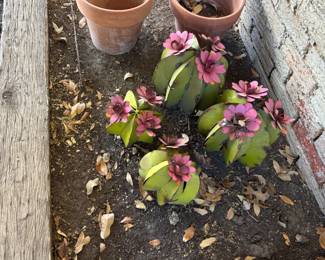 These cacti will not die.