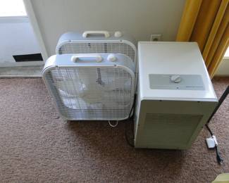 Pair of fans and a Dehumidifier