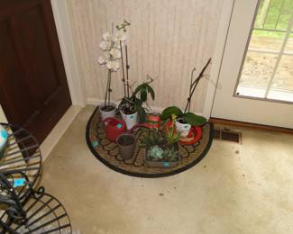Live plants too