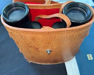Jumelles Proloisirs 10 x50 Binoculars