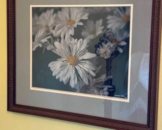 framed photograph of white daisies by Zavastruo