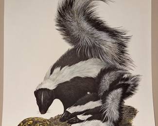 48 years old - Mint! Signed Ray Harm