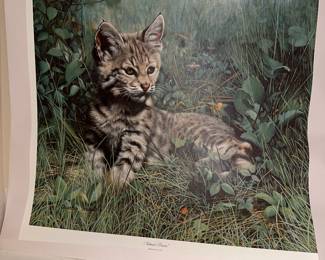 36 yo! Mint! Signed/numbered Charles Fracé