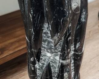 Orthoceras
