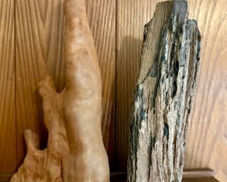 Cyprus knee and petrified wood