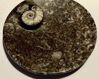 Ammonite shell fossil trinket dish