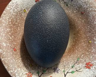 Yup that is an ostrich egg