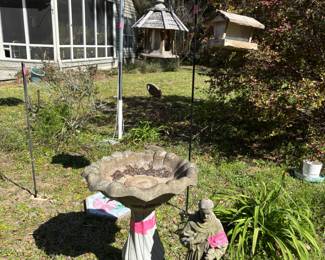 St Francis has allergies but he’ll be over it when you get here