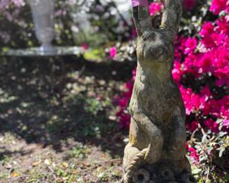 Bunny!
