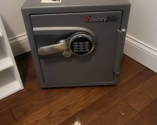 Sentry Safe