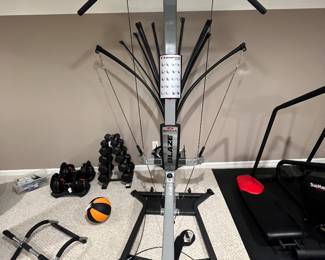 Bowflex blaze home gym
