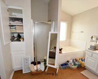 386Bathroom A
