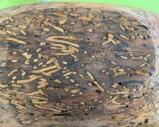 Markings on the bottom of the burled wood bowl