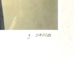 31. Signed Lithograph of Praying Mantis by J. Secco 19/50 (16" x 16")