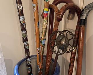 Canes and walking sticks.