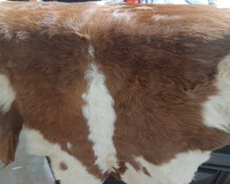 Cow hide
