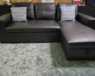 Modular Sectional/Pullout Bed.