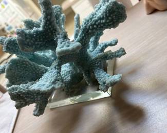 Aqua color coral