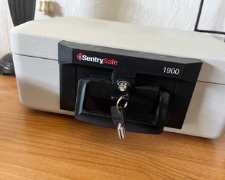 Sentry safe