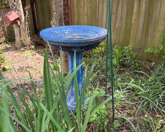 Bird Bath