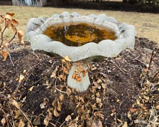 Bird bath