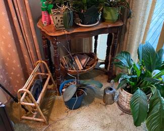 House Plants Need New Homes!