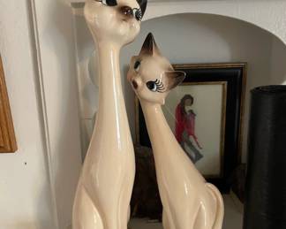 Pair of Cute Siamese Cats