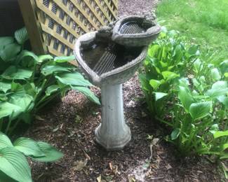 Birdbath!