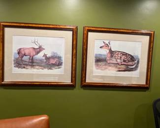 Beautifully framed wildlife artwork Audubon prints